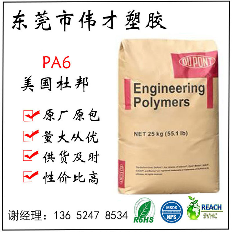 美國杜邦PA6?73G15L NC010